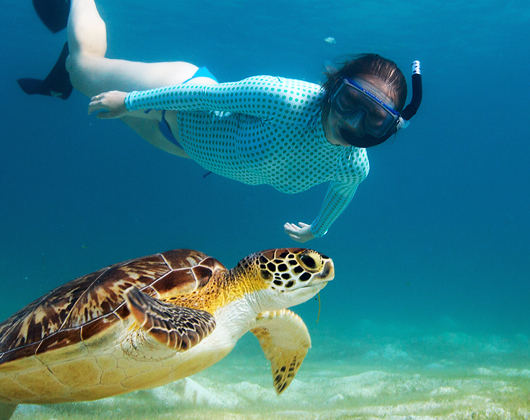 Turtle Snorkeling Maldives travel anecdotes
